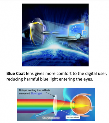 blue-coat